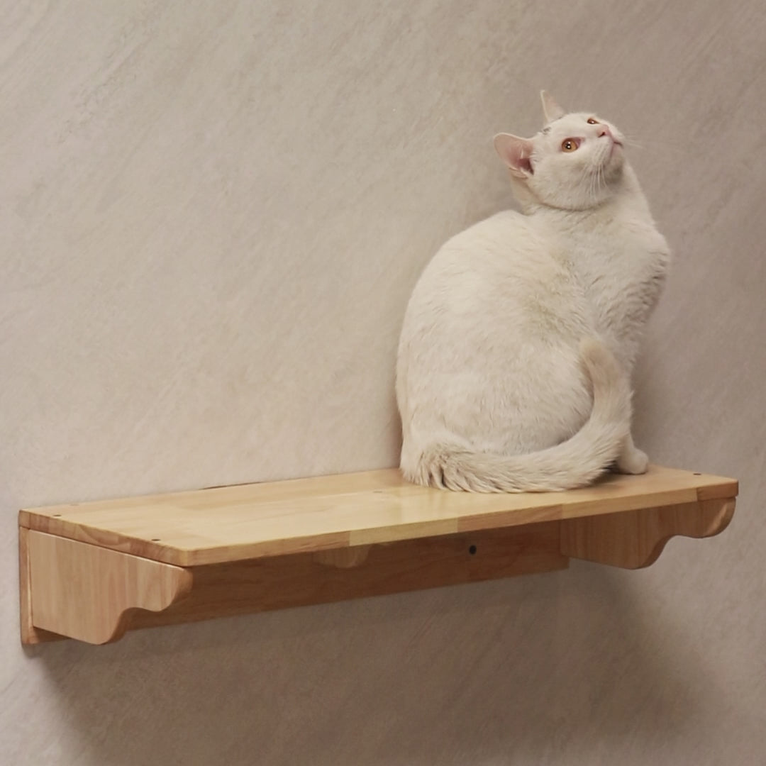 PETOMG Cat Wall Steps, Cat Walks, Cat Ladder, Cat Wall Shelf| Rubberwood