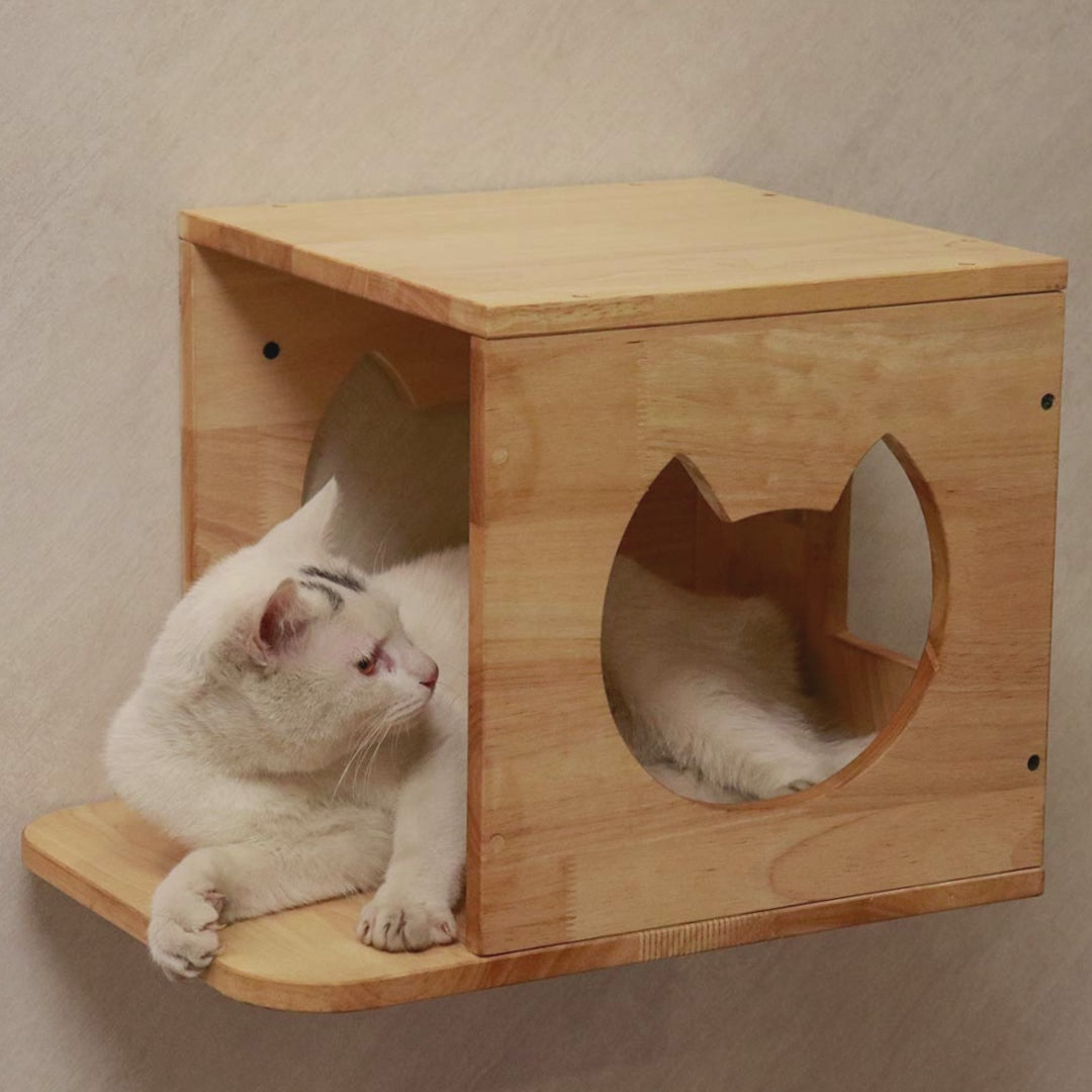 PETOMG Wall Mounted Cat House, Cat Wall Furniture, Cat Wall Bed| Rubberwood