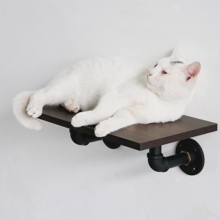 PETOMG Cat Wall Shelves | Modern Minimalist Wall-Mounted Cat Steps