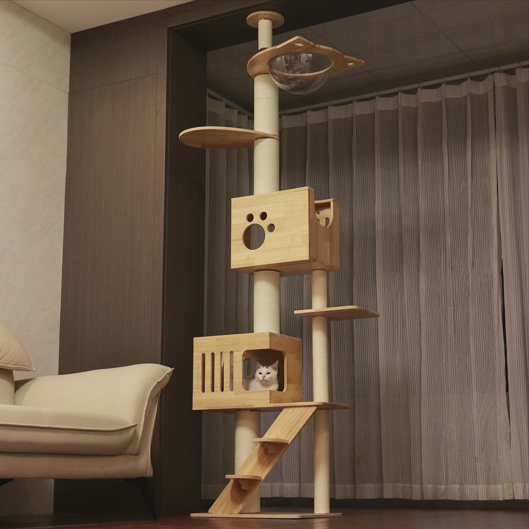 PETOMG Ceiling to Floor Cat Tree, Rubber Wood, No Drilling, Adjustable Height (90.6'' - 110.2'')