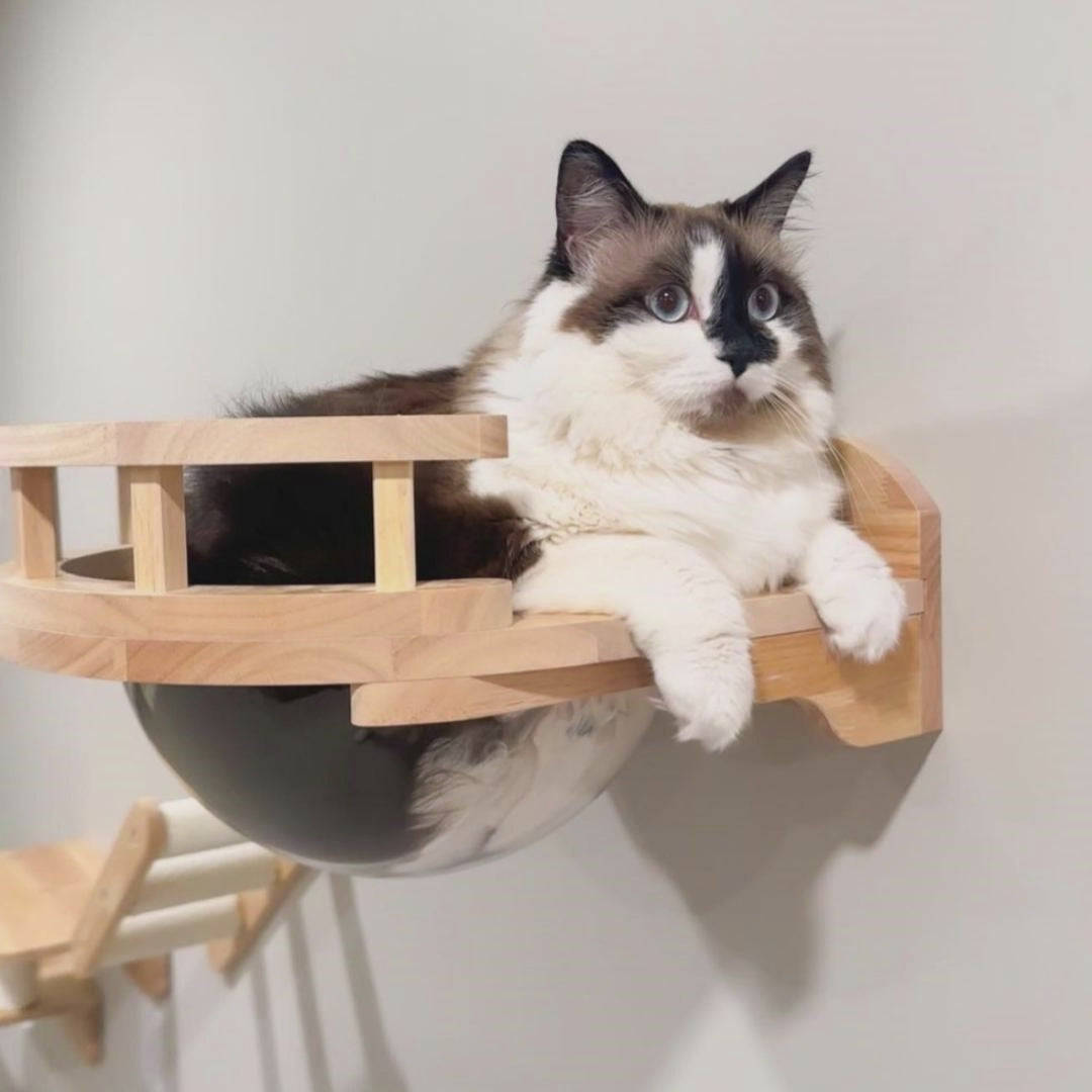 PETOMG Cat Perch, Cat Space Capsule, Cat Bed Furniture, Cat Wall Mounted | Rubber Wood