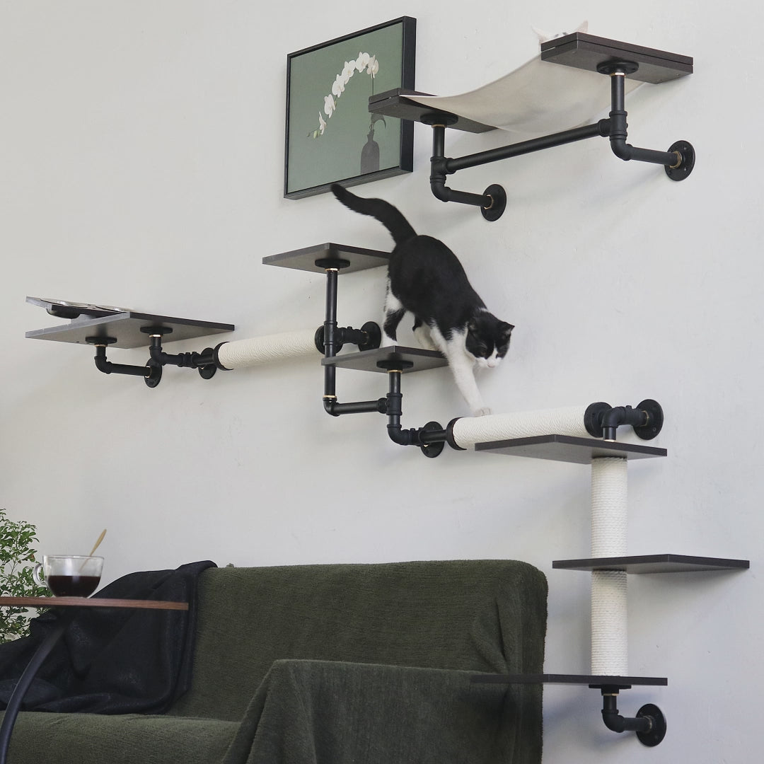 Smoky Rubber Wood Cat Shelves | Premium Wall-Mounted Cat Furniture Set