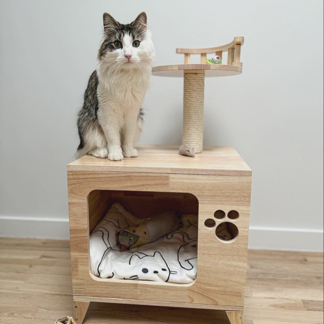 PETOMG Cat House, Cat Condo, TV Cat Bed, Cat Scratcher| Kumipuu 0,81m