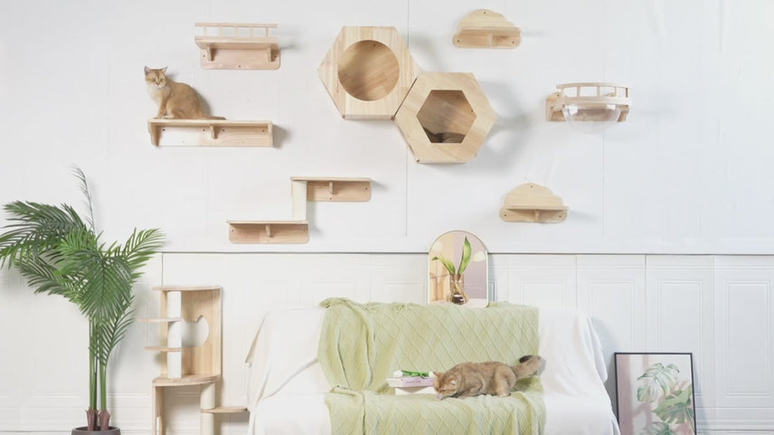 Wall-mounted Aesthetic Cat Furniture 