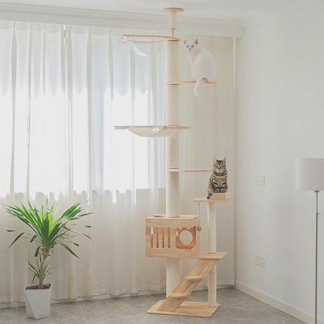 PETOMG Árbol para Gatos de Piso a Techo, Madera de Caucho, sin Perforaciones, Altura Ajustable (230 cm - 280 cm)