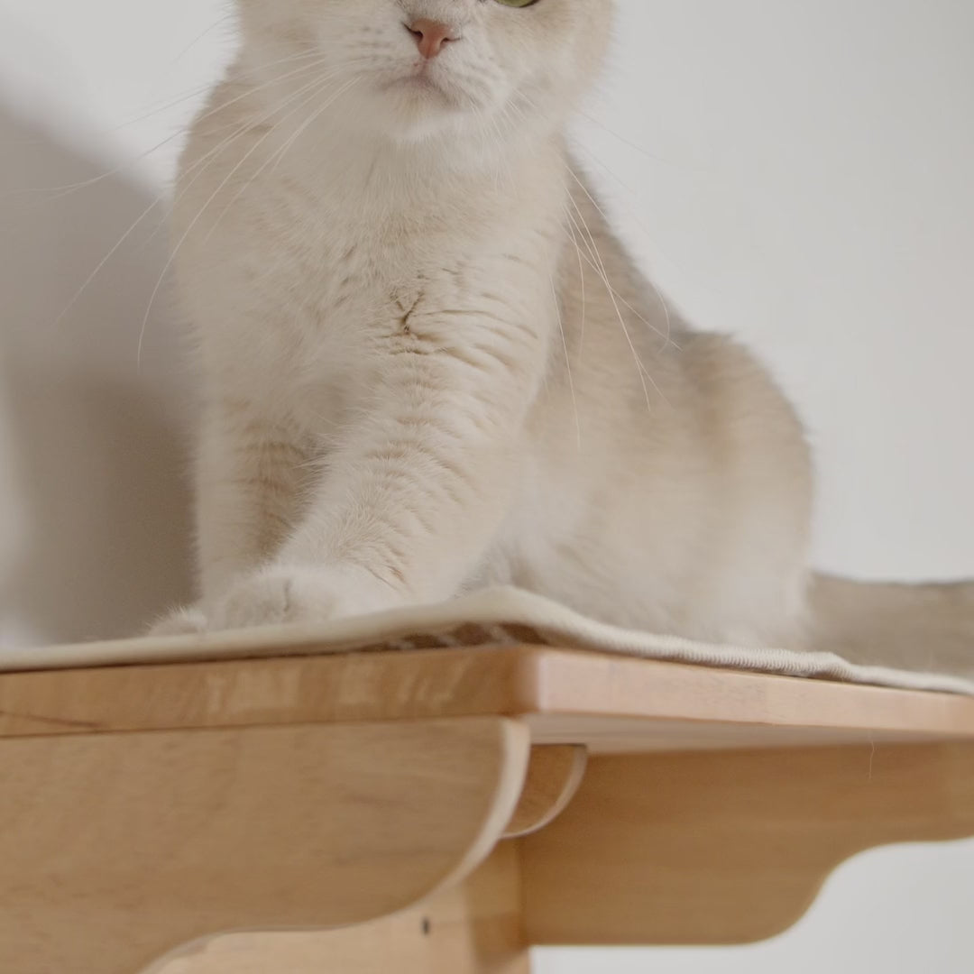 Large Cat Wall Perch,CM27
