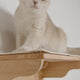 Large Cat Wall Perch,CM27