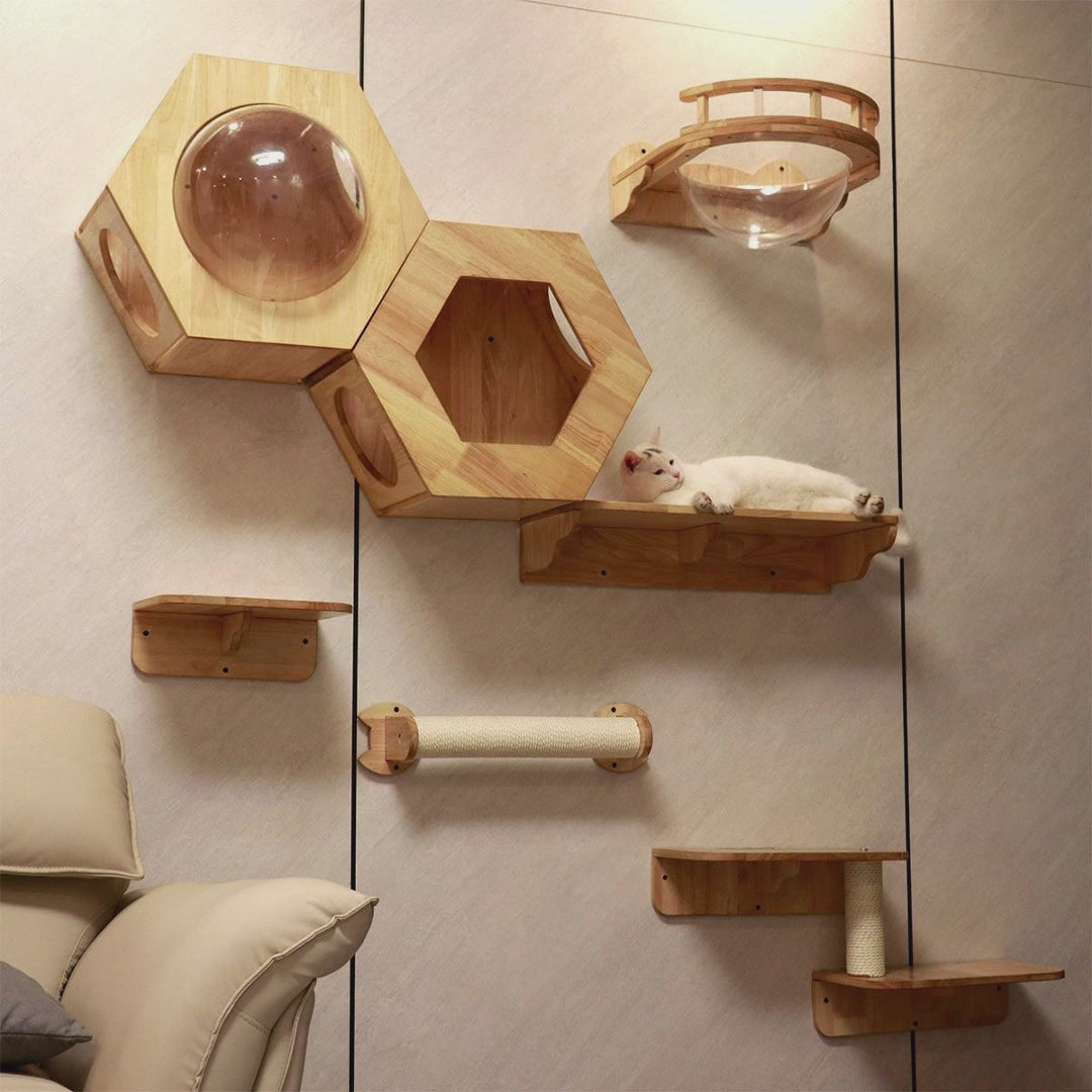 Hexagon Cat Shelf Set, Cat Wall Furniture for Large Cats