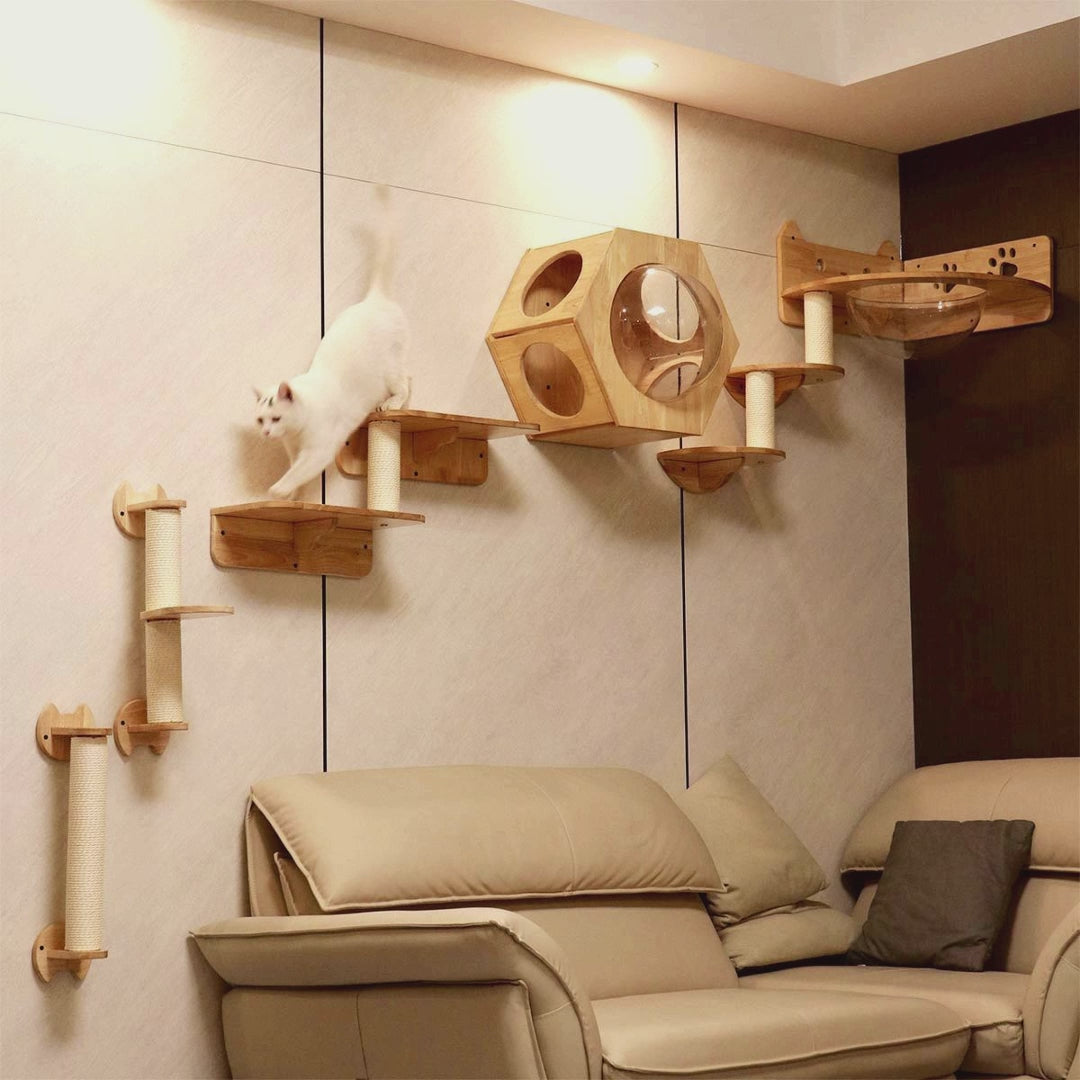 Modular Wall-Mounted Cat Furniture | Hexagonal Cat House & Climbing System | Space-Saving Design