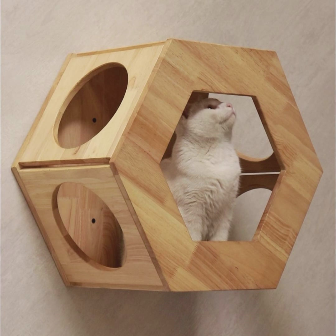 PETOMG Casa para Gatos montada en la Pared, Estante de Pared para Gatos, Cama de Pared Grande para Gatos | Madera de caucho