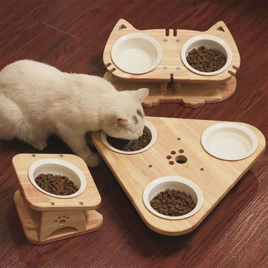 PETOMG Cuencos para gatos, Cuenco elevado para gatos, Cuencos de cerámica para gatos, Cuencos elevados para comida para gatos | Madera de caucho