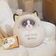 13.5" Get Well Soon Cat Plush Pillow Soft Cute Cat Stuffed Animal Get Well Soon Gift for Women Girls Kids Patient Feel Better Plush Toy