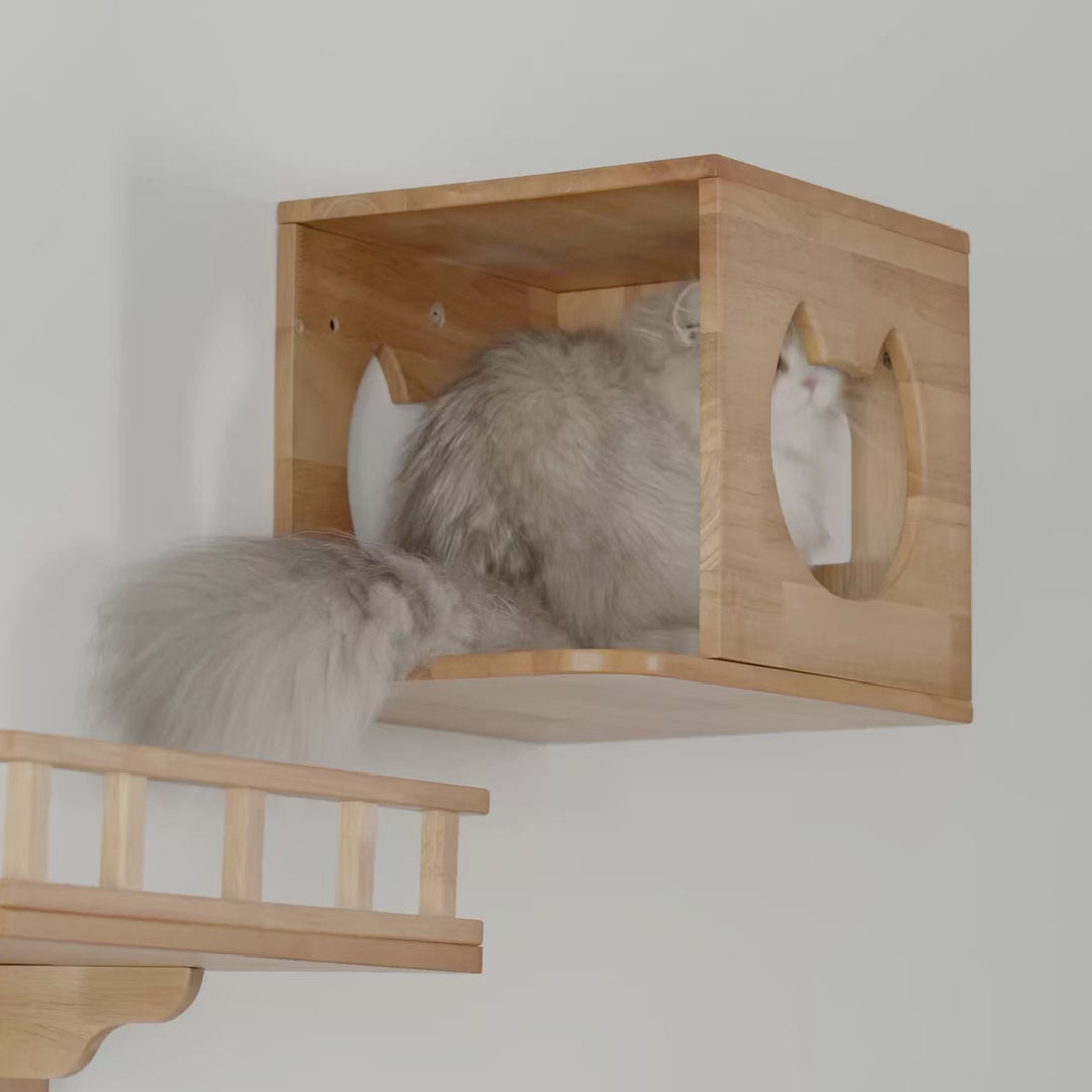 Medium Cat Wall House,CM15