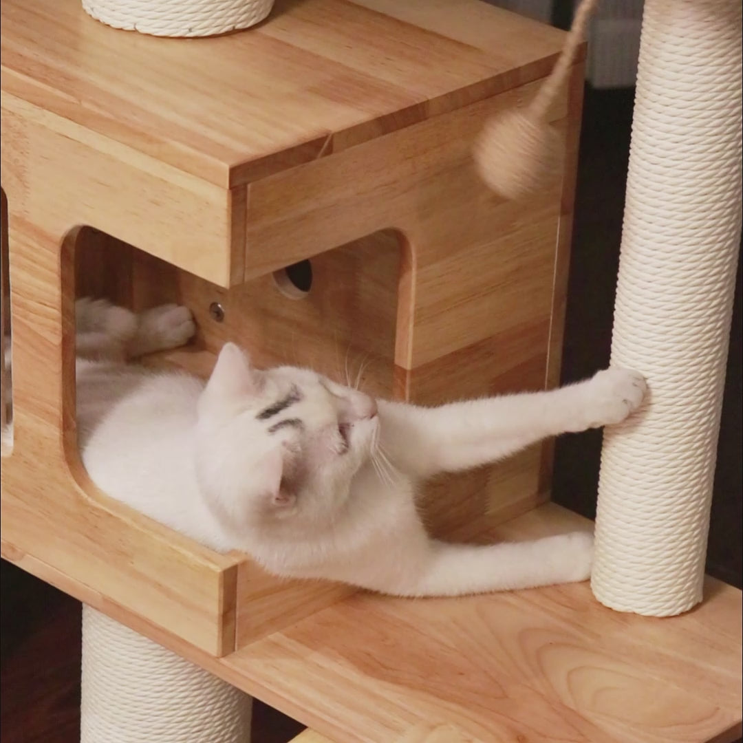 Floor to Ceiling Cat Tree | Solid Rubberwood Build | Long-Lasting Style & Strength