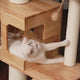 Floor to Ceiling Cat Tree | Solid Rubberwood Build | Long-Lasting Style & Strength