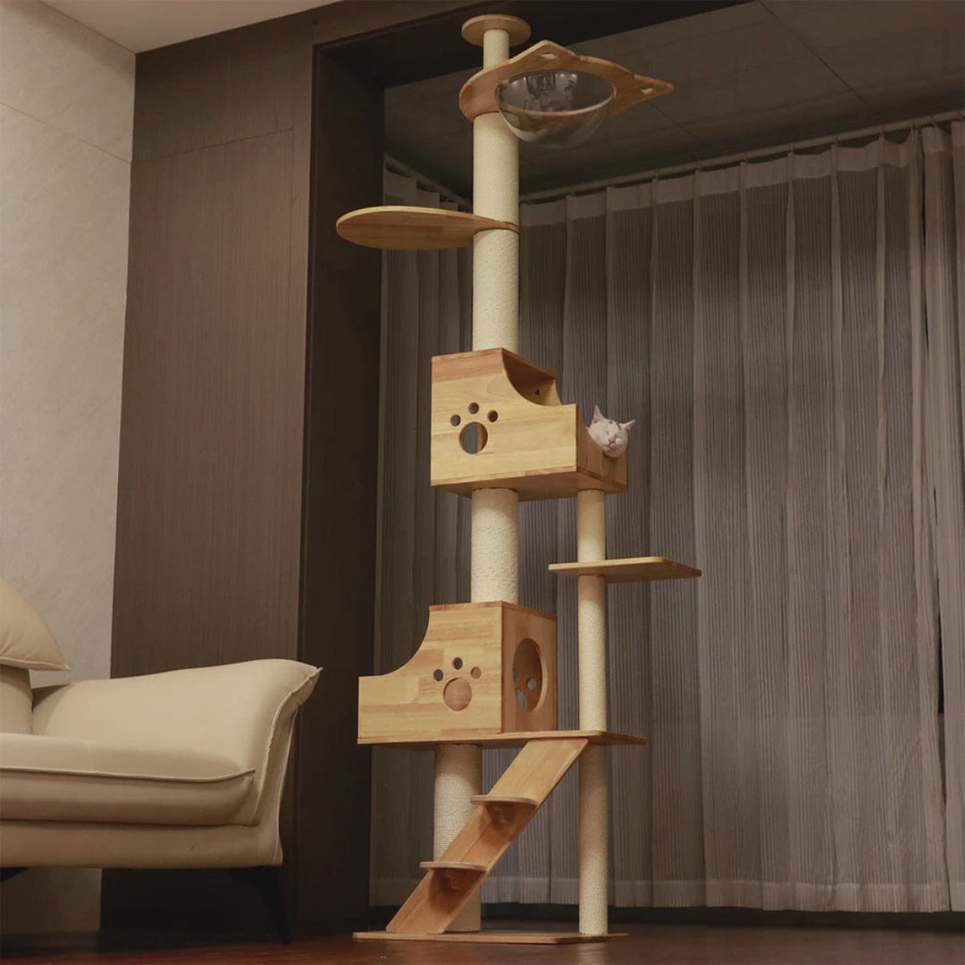 PETOMG Rubber Wood Ceiling to Floor Cat Tree, No Drilling, Adjustable Height (90.6'' - 110.2'')