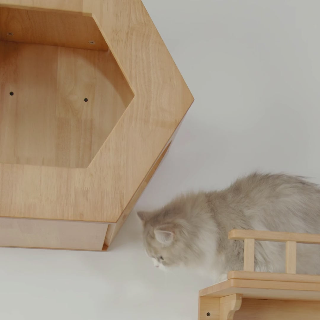 Large Hexagon Cat Wall House,CM23