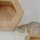 Large Hexagon Cat Wall House,CM23