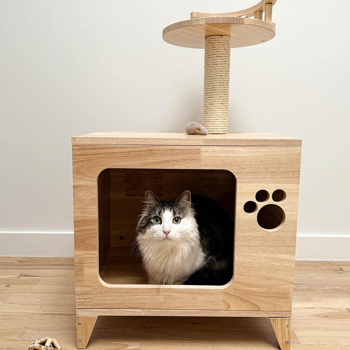 PETOMG Cat House, Cat Condo, TV Cat Bed, Cat Scratcher| Kumipuu 0,81m